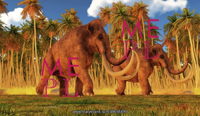 : A pair of Columbian mammoths during the Pleistocene : A pair of Columbian mammoths during the Pleistocene