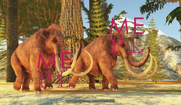 : A pair of Columbian mammoths during the Pleistocene : A pair of Columbian mammoths during the Pleistocene