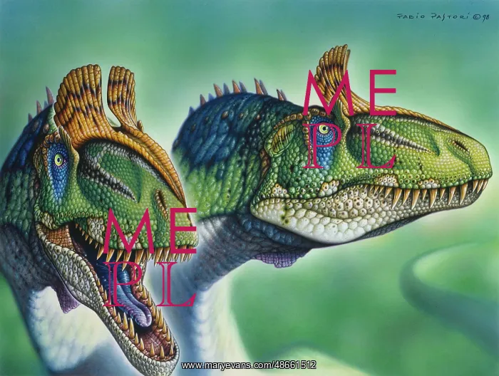 : Pair of Cryolophosaurus ellioti dinosaurs : Pair of Cryolophosaurus ellioti dinosaurs