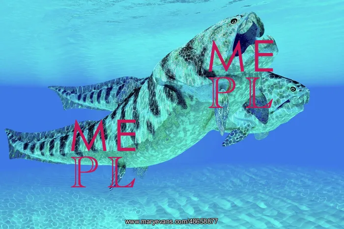 : A pair of Dunkleosteus fish swimming together : A pair of Dunkleosteus fish swimming together