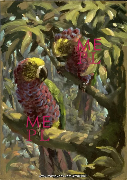 : A pair of exotic parrots : A pair of exotic parrots