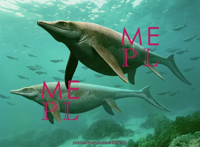 : A pair of Guanlingsaurus swimming underwater : A pair of Guanlingsaurus swimming underwater