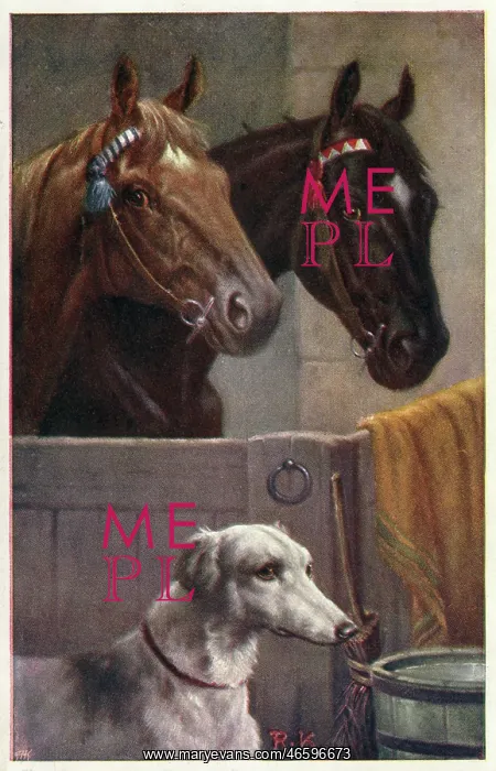  : Pair of horses in a stable and a lurcher