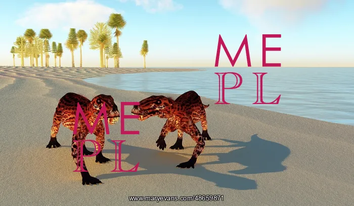 : A pair of Lycaenops walking along shoreline during : A pair of Lycaenops walking along shoreline during