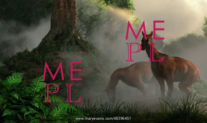 : A pair of Macrauchenia grazing in a prehistoric forest : A pair of Macrauchenia grazing in a prehistoric forest