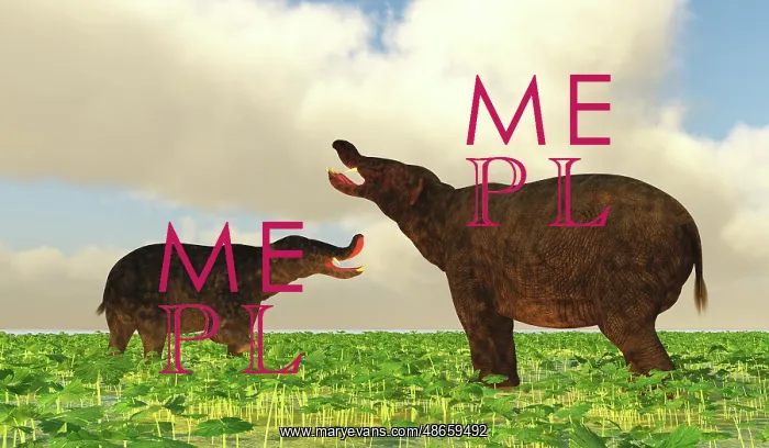 : A pair of Platybelodon dinosaurs confront each : A pair of Platybelodon dinosaurs confront each