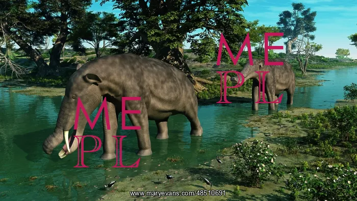 : A pair of Platybelodon grazing in a shallow stream : A pair of Platybelodon grazing in a shallow stream