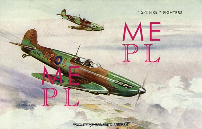 : A pair of RAF Supermarine Spitfire Fighters : A pair of RAF Supermarine Spitfire Fighters