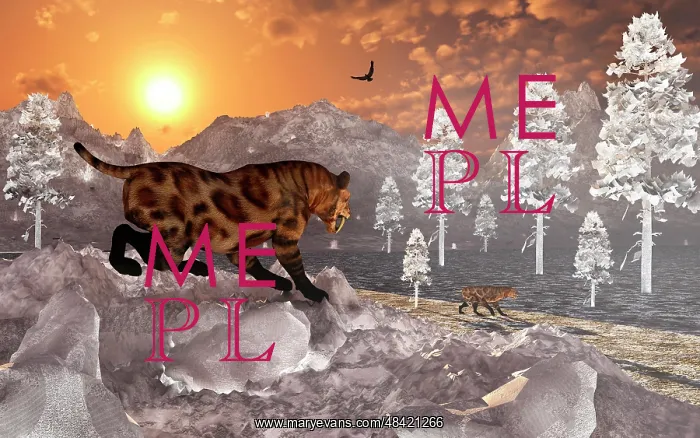 : A pair of Sabre Tooth Tigers experience the first signs of ? : A pair of Sabre Tooth Tigers experience the first signs of ?