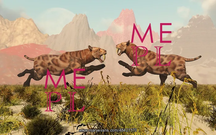 : A pair of Sabre Tooth Tigers in a fight over territory : A pair of Sabre Tooth Tigers in a fight over territory