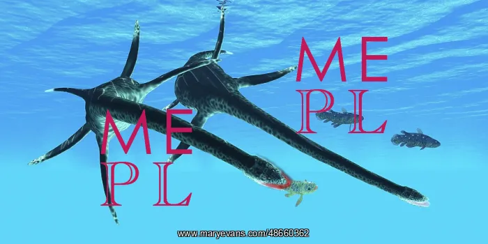 : A pair of Styxosaurus hunting Coelacanth fish : A pair of Styxosaurus hunting Coelacanth fish