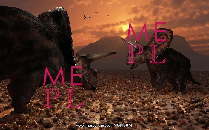 : A pair of Torosaurus dinosaurs fight each other : A pair of Torosaurus dinosaurs fight each other