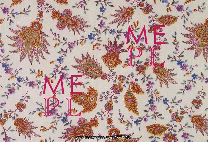  : Paisley floral pattern on off-white background