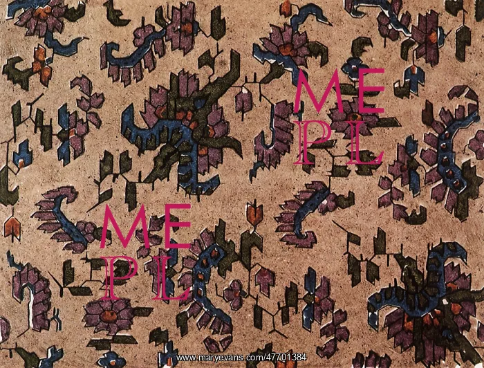  : Paisley Flowers on Tan