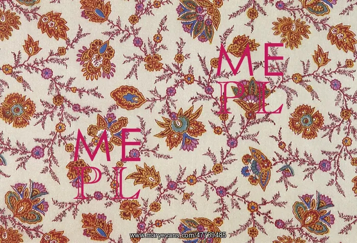  : Paisley influenced floral pattern on off-white field