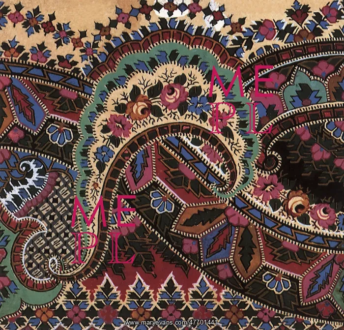 : Paisley Pattern : Paisley Pattern