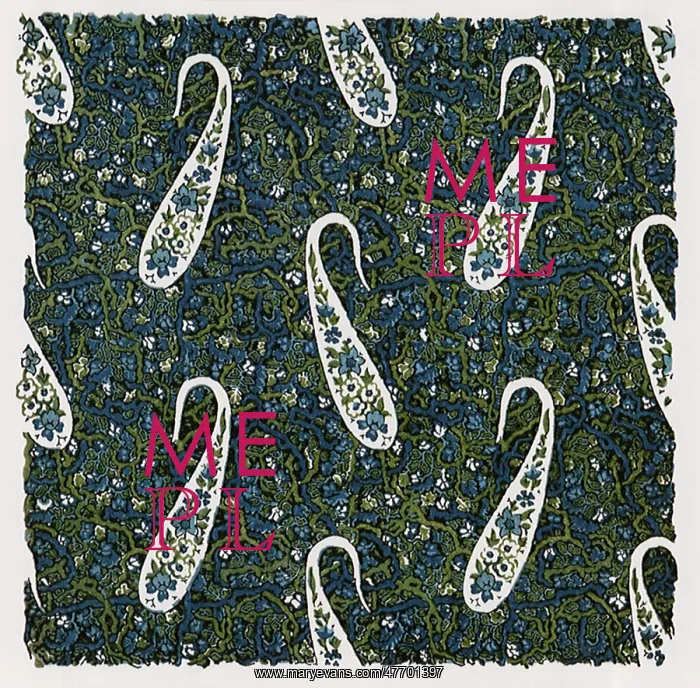 : Paisley on Tiny Flowers : Paisley on Tiny Flowers