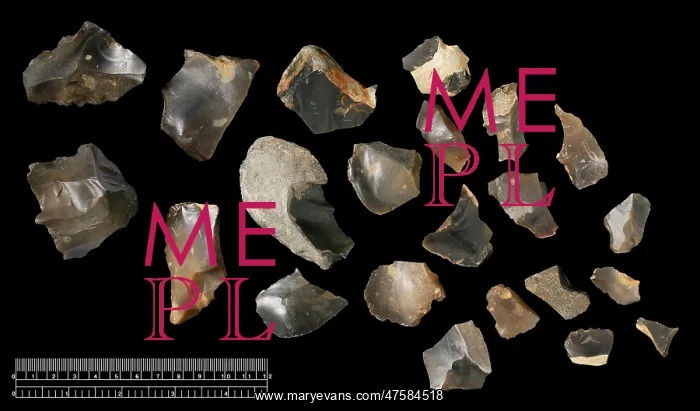 : Pakefield flint tools : Pakefield flint tools