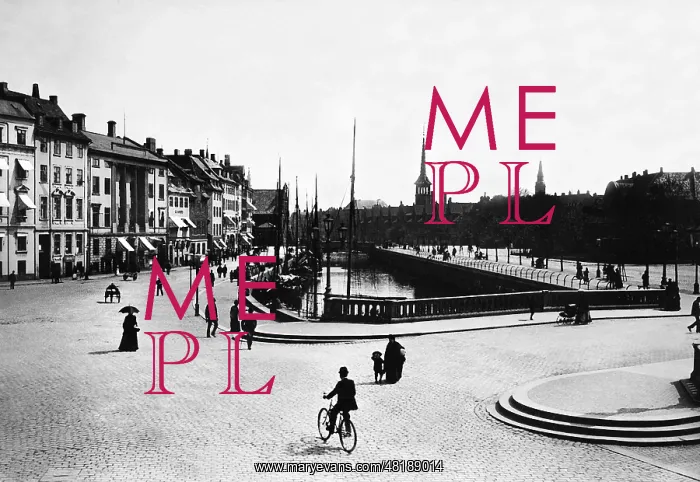 : Palace Bridge in Copenhagen : Palace Bridge in Copenhagen