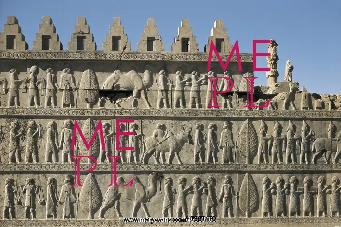 : Palace of Darius I. Apadana or Audience Hall : Palace of Darius I. Apadana or Audience Hall