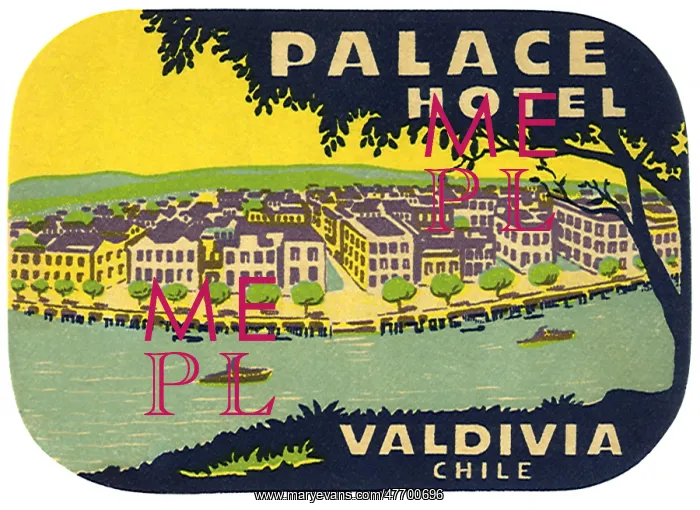  : Palace Hotel, Valdivia, Chile