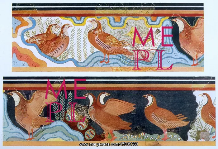 : PALACE MINOS PARTRIDGE : PALACE MINOS PARTRIDGE