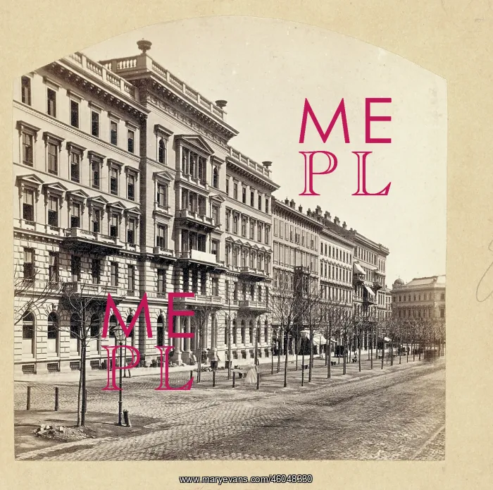 : Palace at the Ringstrasse : Palace at the Ringstrasse