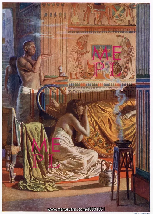 : From Palace to Tomb, Ancient Egypt Reconstruction by Matania : From Palace to Tomb, Ancient Egypt Reconstruction by Matania