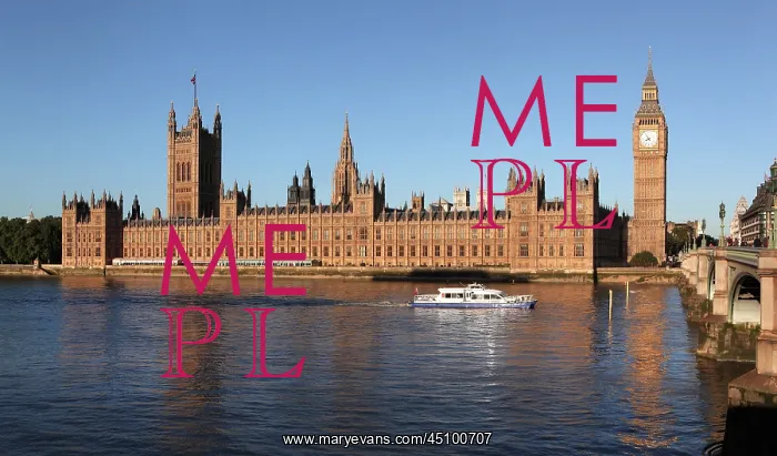 : The Palace of Westminster, London, UK : The Palace of Westminster, London, UK