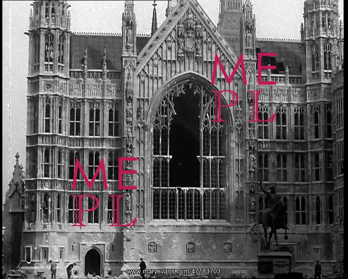 : The Palace of Westminster and The Statue of : The Palace of Westminster and The Statue of