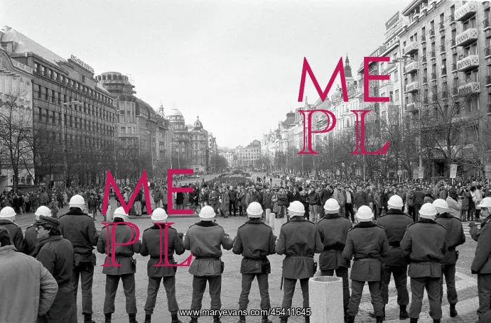: Palach week - protest - demonstration - police : Palach week - protest - demonstration - police