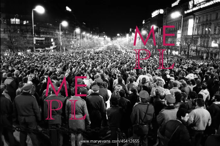 : Palach week - protest - demonstration - police : Palach week - protest - demonstration - police