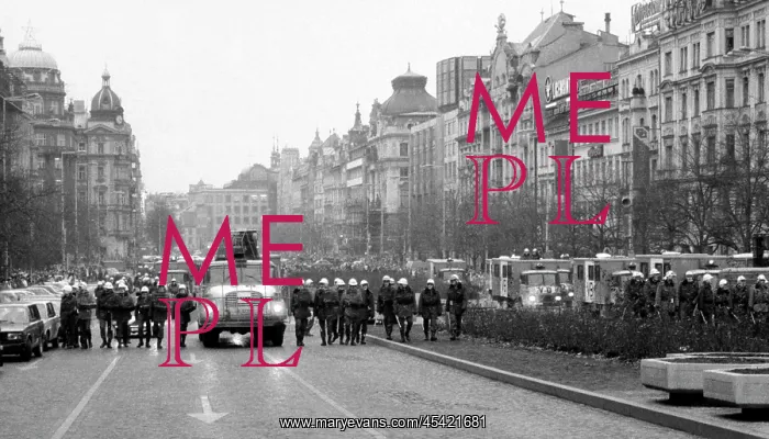 : Palach week - protest - demonstration - police : Palach week - protest - demonstration - police