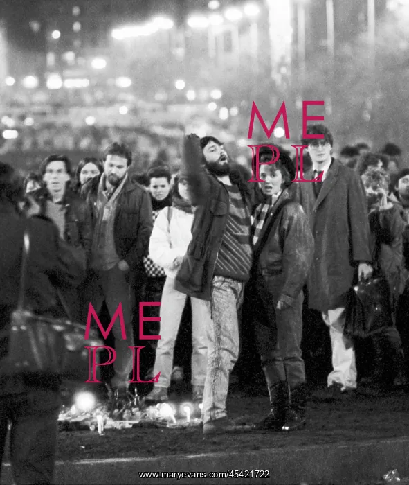 : Palach week - protest - demonstration - police : Palach week - protest - demonstration - police