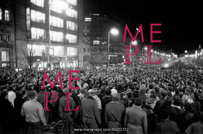 : Palach week - protest - demonstration - police : Palach week - protest - demonstration - police