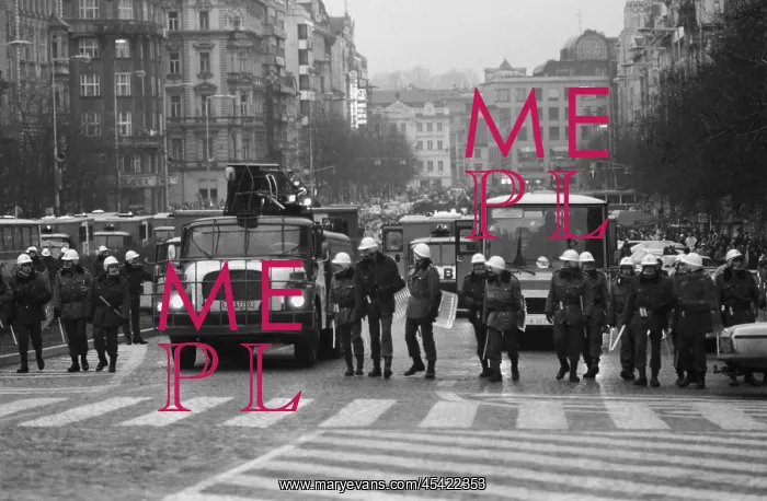 : Palach week - protest - demonstration - police : Palach week - protest - demonstration - police