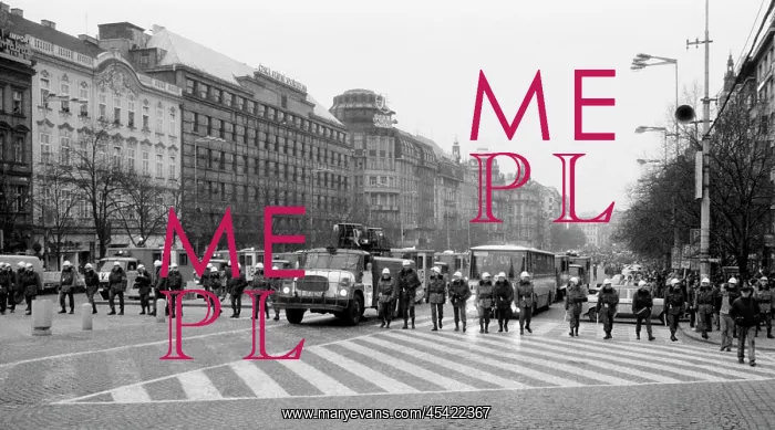 : Palach week - protest - demonstration - police : Palach week - protest - demonstration - police
