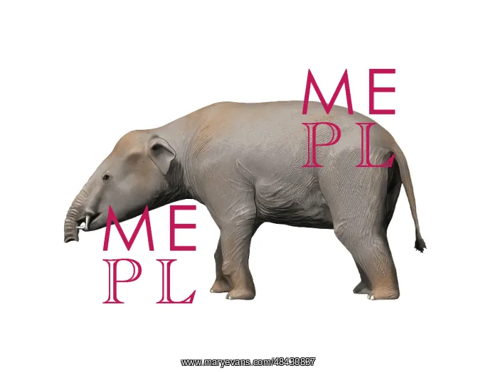 : Palaeomastodon is a proboscidian from the Oligocene epoch : Palaeomastodon is a proboscidian from the Oligocene epoch