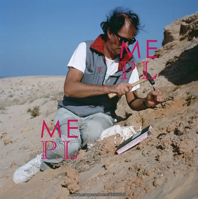 : Palaeontologist at work : Palaeontologist at work