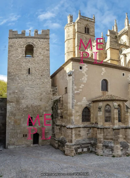 : Palais des Archeveques : Palais des Archeveques