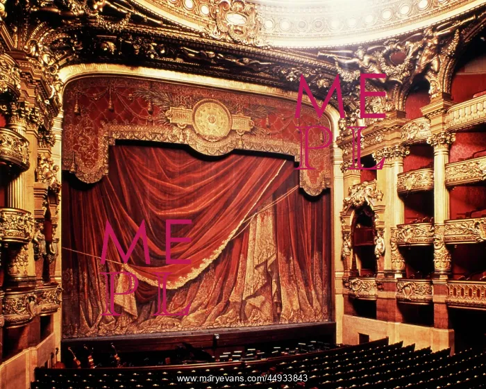 : the Palais Garnier Opera House Hall of the Opera Paris : the Palais Garnier Opera House Hall of the Opera Paris