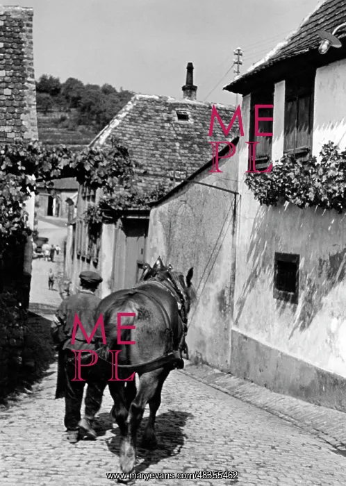 : Palatinate wine village, 1935 : Palatinate wine village, 1935
