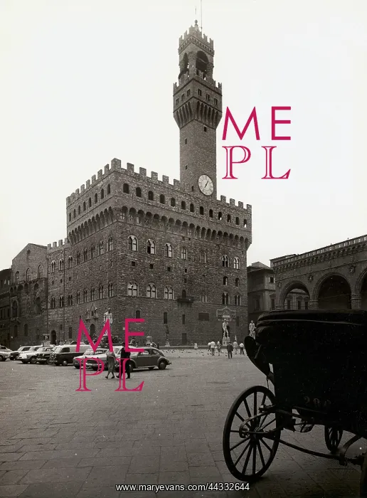 : Palazzo Vecchio, Piazza della Signoria : Palazzo Vecchio, Piazza della Signoria