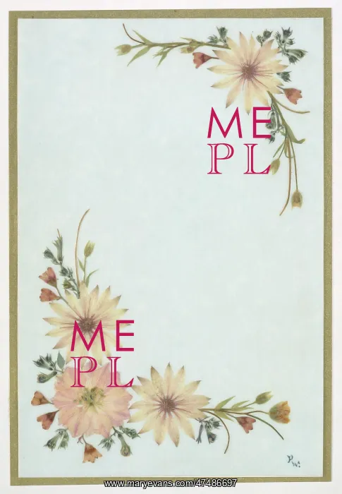 : Pale pink and white pressed flowers design : Pale pink and white pressed flowers design