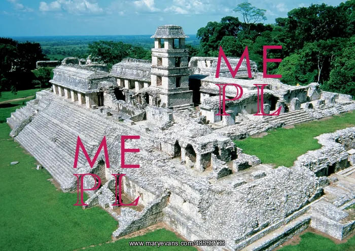 : Palenque Archeological site. Palace. Mexico : Palenque Archeological site. Palace. Mexico