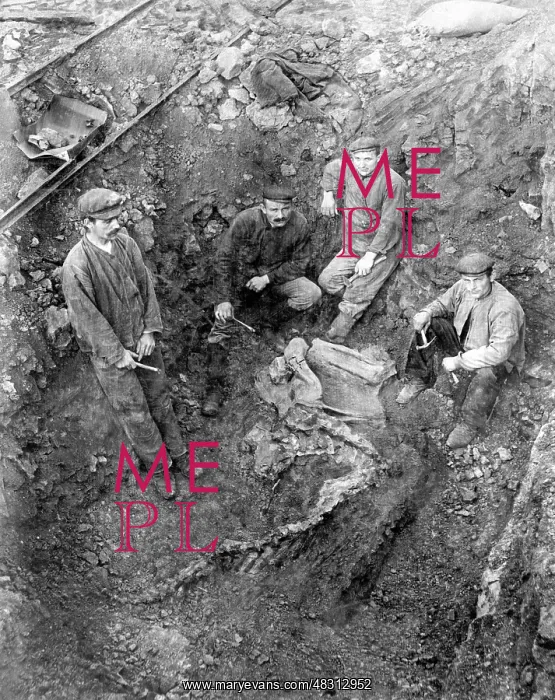 : Paleontologists dig out a dinosaur skeleton, 1912 : Paleontologists dig out a dinosaur skeleton, 1912