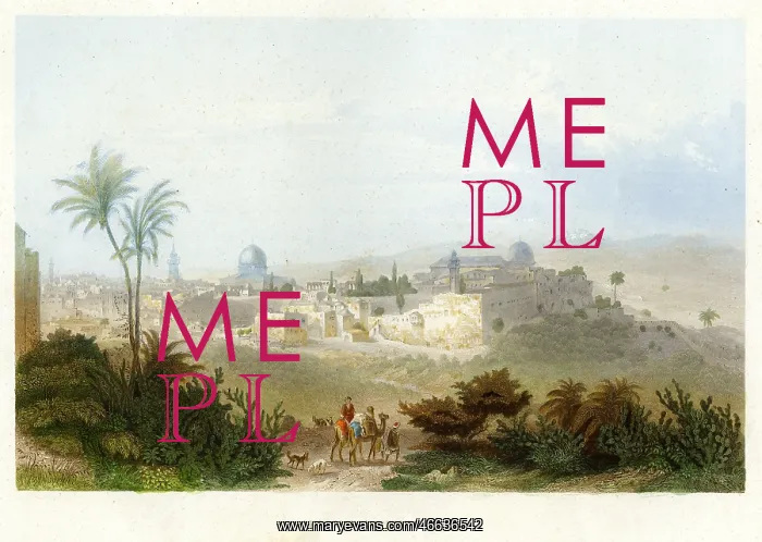 : Palestine, Jerusalem, Temple Mount, view, lithograph : Palestine, Jerusalem, Temple Mount, view, lithograph