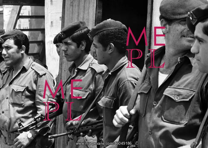 : Palestinian Liberation Army : Palestinian Liberation Army