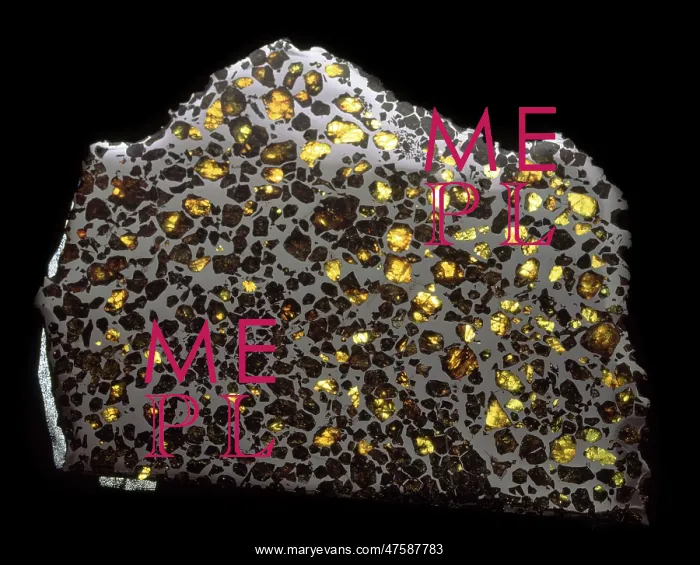 : Pallasite slab : Pallasite slab