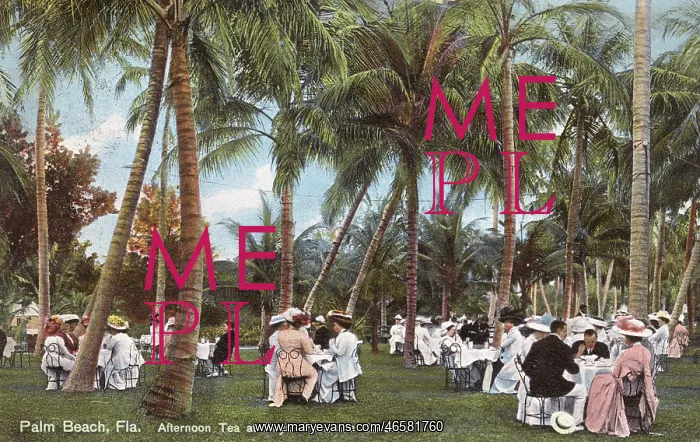 : Palm Beach, Florida - Afternoon Tea : Palm Beach, Florida - Afternoon Tea